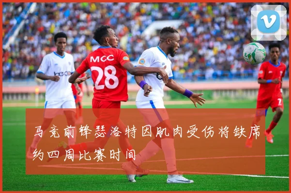 马竞前锋瑟洛特因肌肉受伤将缺席约四周比赛时间